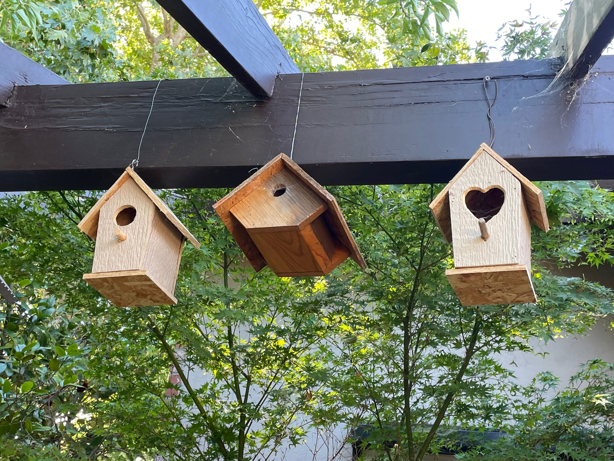 Bird House