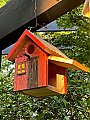 Bird House