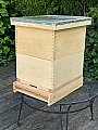 Beehive