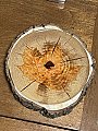 stump Hot Plate with Maple Leaf