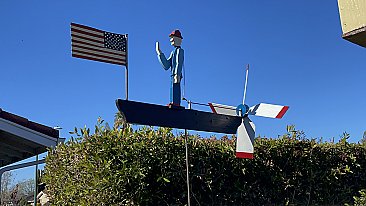 Salute