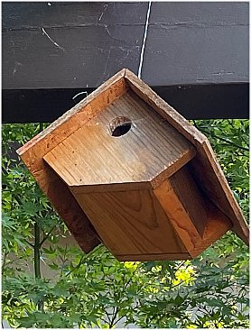 The Wren House